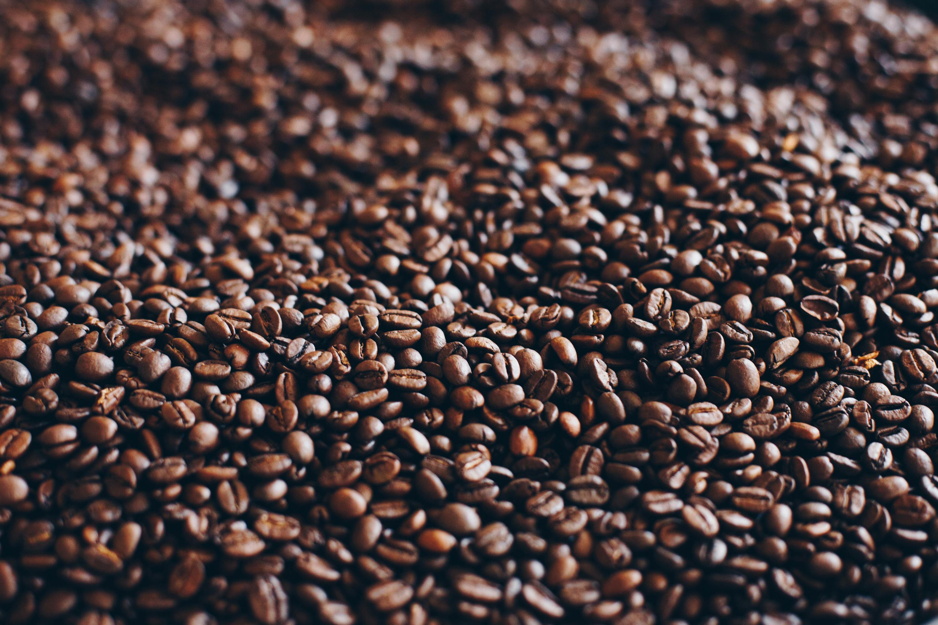 Whole Bean vs. Pre-Ground: What's Actually Better?